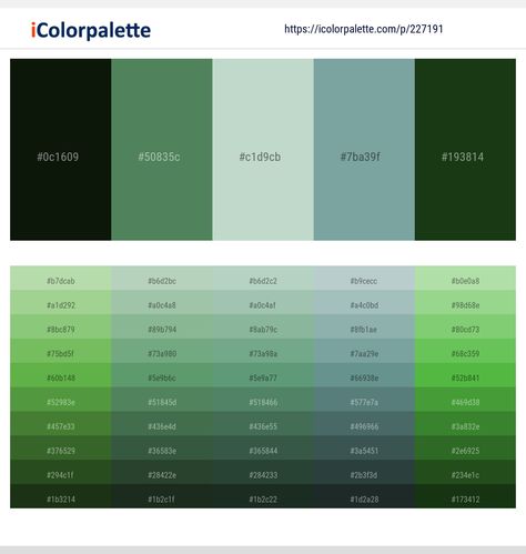 Green Color Scheme, Black Color Palette, Hex Color Palette, Cadet Blue, Green Color Schemes, Exterior Color Schemes, Hex Color Codes, Color Meanings, Bay Leaf