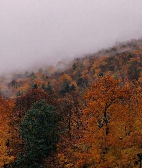 Amber Aesthetic, Cozy Love, Rainy Autumn, Cozy Rainy Day, Amber Fillerup Clark, Rainy Day Aesthetic, Fall Mood Board, Barefoot Blonde, Amber Fillerup