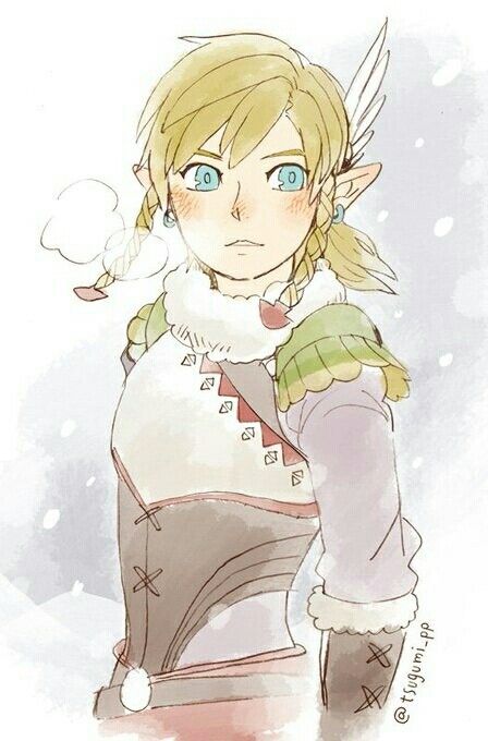 Link is his rito outfit Link Snowquill Armor, Botw Link Snowquill, Link Rito Outfit, Snowquill Link, Rito Link, Snowquill Armor, Kakariko Village, Botw Link, Link Botw