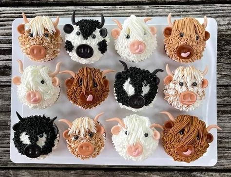 Western Theme Cakes, Cowgirl Birthday Cakes, Cow Birthday Cake, Cow Cupcakes, School Cupcakes, Cow Cakes, Farm Cake, Second Birthday Ideas, Western Birthday