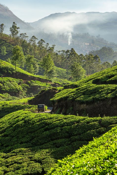 India Trekking, Mountains In India, Himalayas India, India Landscape, Weather In India, India Nature, Backpacking India, Nuwara Eliya, Western Ghats