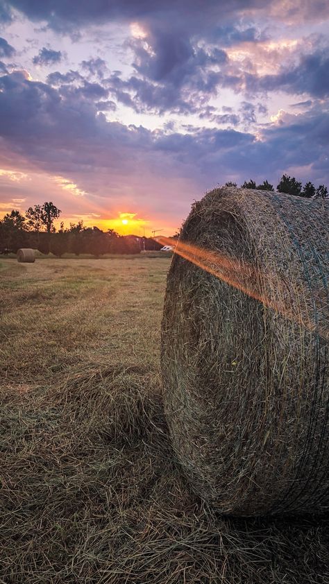 When the sun goes down on a bale of hay Hay Bail, Bale Of Hay, Hay Bales, Ray Of Sunshine, Sun Goes Down, The Sun, Sun