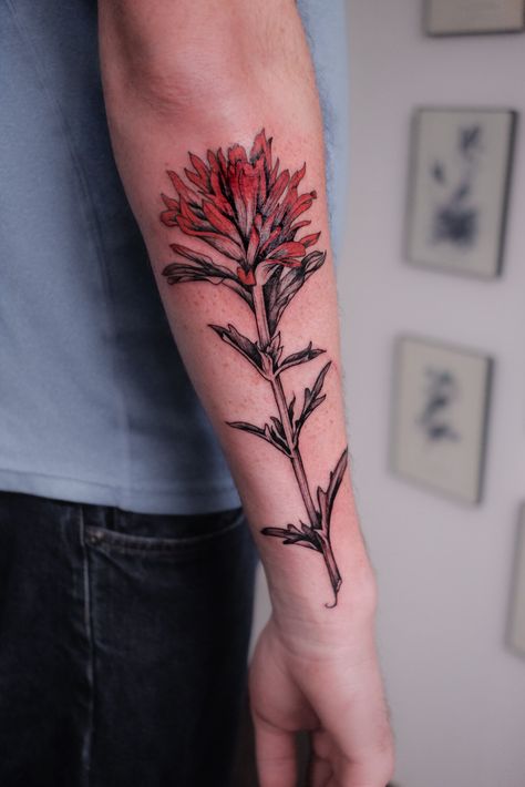 Indian Paintbrush Tattoo, Indian Paint Brush, Paintbrush Tattoo, Brush Flower, Brush Tattoo, Mod Jewelry, Indian Paintbrush, Flower Sleeve, The Muse