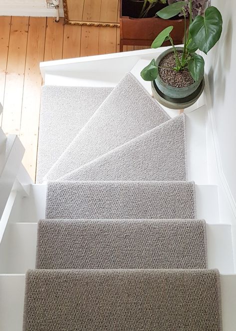 Grey runner stair carpet with plant on staircase. Natural wood flooring. White paint Stairs Design Carpet And Wood, Stairs Carpet Design, Carpet Runner On White Stairs, Carpet On Stairs With Wood Floors Modern, White Stairs Grey Runner, Stair Runner On White Stairs, Staircase Ideas Carpeted Runner, Grey Carpet Staircase, Staircase Ideas Runner