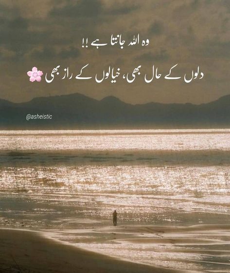 Instagram Quotes About Life, Quotes About Life In Urdu, Motivational Quotes In Urdu, Inspirational Quotes In Urdu, Lines Quotes, Urdu Love Words, Quotes In Urdu, True Feelings Quotes, Poetry Quotes In Urdu