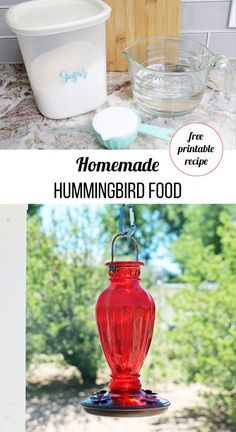 Diy Hummingbird Feeder Easy, Bird Feeders Craft, Diy Hummingbird Food, Hummingbird Diy, Hummingbird Feeder Recipe, Simple Bird Feeder, Hummingbird Food Recipe, Make Hummingbird Food, Diy Hummingbird Feeder