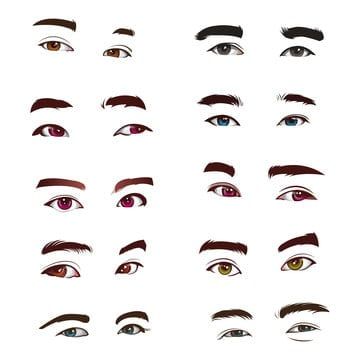 Makeup Artist Tools, Eye Vector, Eyes Vector, Portrait Illustrator, Eyes Clipart, Human Vector, Vector Portrait Illustration, Human Eyes, Cartoon Butterfly