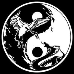 Wing Chun snake & crane Martial Arts Tattoos, Yin Yang Images, Kung Fu Clothing, Crane Tattoo, Wing Chun Kung Fu, Tai Chi Qigong, Kung Fu Martial Arts, White Crane, Ip Man