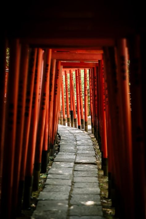 A Travel Writer's Retrospective: Top 11 Places to Visit in Japan | Tokyo Weekender Places To Visit In Japan, Farm Village, Ueno Park, Forest Sounds, Ancient Tree, Japan Tokyo, Japanese Aesthetic, Travel Writer, Old World Charm