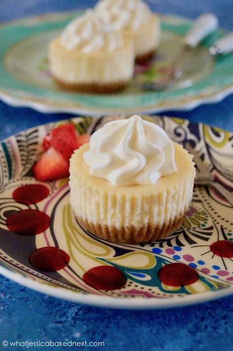 Mini Cheesecakes Mini Cheesecakes, Cooking Recipes Desserts, Cheesecake Recipes, No Bake, A Fan, Mini Cheesecake, Sweet Treats, Cheesecake, Dessert Recipes