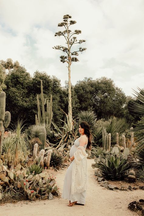 Arizona Cactus Garden Stanford, Arizona Cactus Garden, Arizona Cactus, Baby Bump Photos, Bump Photos, Baby Pics, Maternity Photoshoot, Cactus Garden, Baby Bump