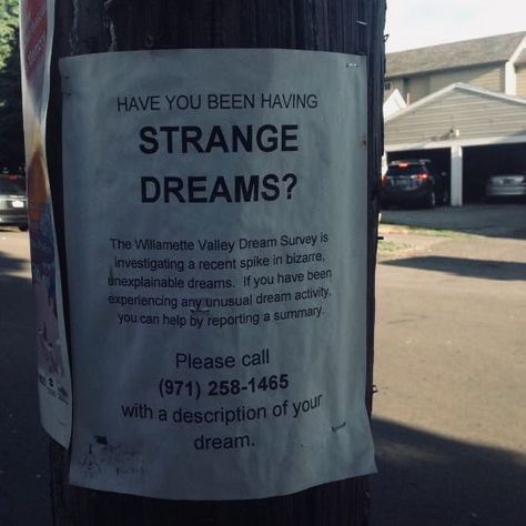 1166. The flyers were up the next morning, all wrinkled and weather-worn even though she was positive they hadn't been there before. Someone knew. Someone wanted to know. She took a picture to save the phone number, despite telling herself she wouldn't call anyway. #1166. Indrid Cold, Strange Dreams, San Myshuno, Between Two Worlds, Welcome To Night Vale, Night Vale, This Is Your Life, Slenderman, Southern Gothic
