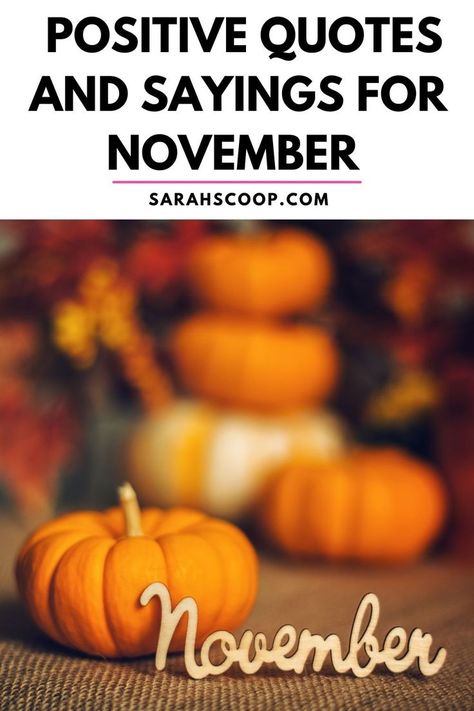 November Bday Quotes, Hi November Quotes, November Goals Quotes, Welcome November Quotes Motivation, November Vibes Quotes, First Day Of November Quotes, November Positive Quotes, November Quotes Inspirational, November Thankful Quotes