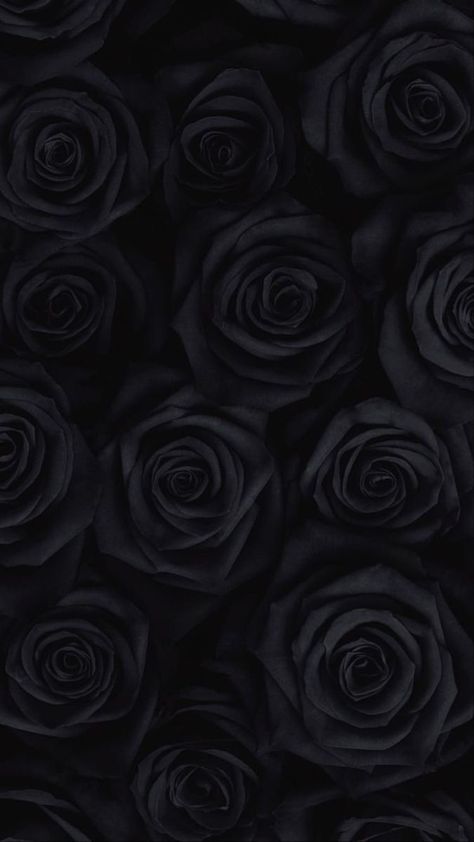 Obsidian Aesthetic, Black Magic Roses, Iphone Wallpaper Blur, Dark Red Roses, Gothic Wallpaper, Phone Screen Wallpaper, Black Roses, Dark Phone Wallpapers, Black And White Wallpaper