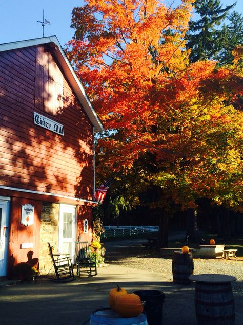 Cider Mill Aesthetic, Mill Aesthetic, Autumn Academia, Seasonal Aesthetic, England Autumn, Autumn Core, Cider Mill, Rainy Sky, Fall Dates