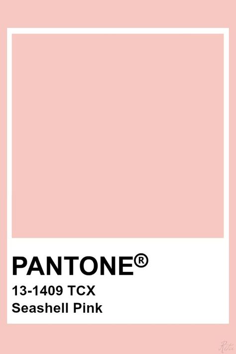 Pantone Seashell Pink Pantone Rose, Pantone Tcx, Pantone Color Chart, Pantone Swatches, Seashell Pink, Pantone Palette, Rose Quartz Color, Pantone Colour Palettes, Pantone Colors