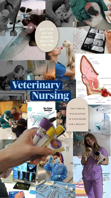 Vet School Motivation, Veterinary Nursing, Veterinarians Medicine, Vet Tech School, Vet Tech Student, Becoming A Veterinarian, Vet Nurse, Veterinary School, Veterinary Science