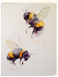 Loose Watercolour, Jane Davies, Creative Watercolor, Bee Drawing, Bee Painting, Bee Creative, Watercolor Sketchbook, Insect Art, 수채화 그림