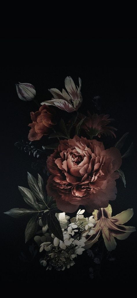 Moody Wallpaper, Floral Wallpaper Iphone, Cute Christmas Wallpaper, Dark Flowers, Flower Black, Apple Watch Wallpaper, Phone Wallpaper Patterns, Floral Iphone, Dark Floral