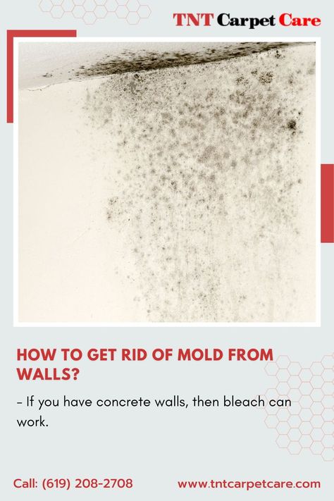 Mold Removal & Remediation Remove Black Mold, Cinder Block Walls, Black Mold, Concrete Walls, Mold Growth, Painted Walls, Porous Materials, Cinder Block, Mold Remover