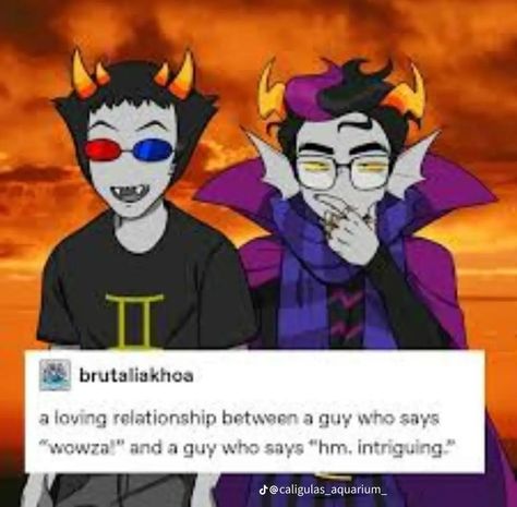 Sollux And Eridan, Erisol Homestuck, Eridan Ampora, Sally Face Game, Dear God, Homestuck, Old Things, Memes, Funny