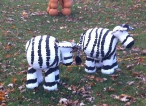 Animal Pumpkin Painting, Gourd Animals, Animal Pumpkin, Pumpkin Inspiration, Contest Ideas, Zebra Painting, Pumpkin Decorating Contest, No Carve Pumpkin Decorating, Pumpkin Contest