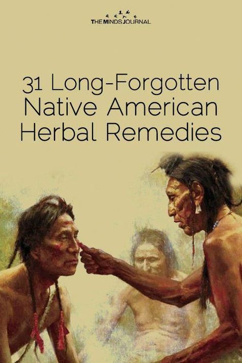 31 Long-Forgotten Native American Herbal Remedies For Illnesses Native American Remedies, Herb Remedies, Natural Healing Remedies, Healing Plants, Herbal Healing, Herbs For Health, Healing Herbs, Natural Health Remedies, Natural Home Remedies