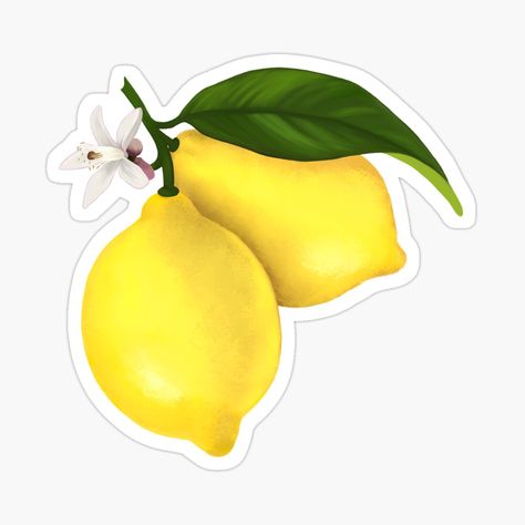 Lemon Png Aesthetic, Cute Yellow Stickers Printable, Yellow Flowers Stickers Aesthetic Printable, Lemon Images Fruit, Lemon Sticker, Yellow And Coral, Lemon Flowers, Make Lemonade, Coral Design