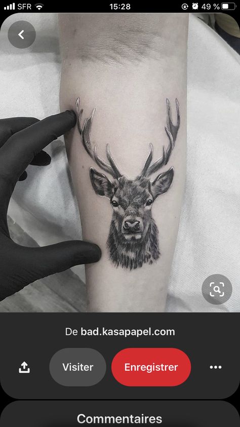 Stag Tattoo Design, Buck Tattoo, Deer Head Tattoo, Elk Tattoo, Deer Tattoo Designs, Thigh Tattoo Men, Stag Tattoo, Animal Sleeve Tattoo, Throat Tattoo