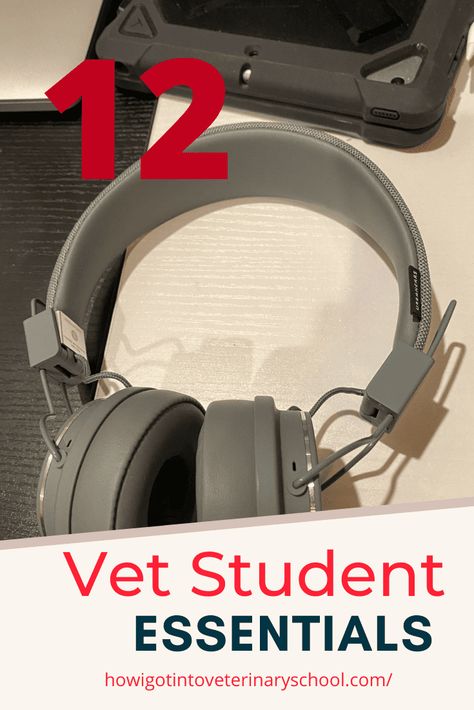 These 12 vet school essentials are what every veterinary student needs to start bag a successful path towards becoming a DVM! via @veterinaryschool How To Study In Vet School, Vet Tech Supplies, Vet Tech Must Haves, Vet School Outfits, Vet School Essentials, Vet Tech School Supplies, Vet Tech Aesthetic, Vet Inspiration, Vet Accessories