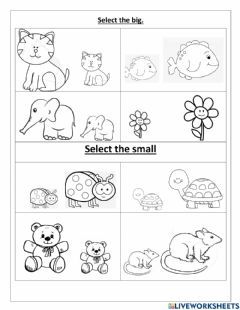 Big and small Language: English Grade/level: pre-K School subject: math Main content: Big and small Other contents: no Big And Small Animals Activities, Big Vs Small Preschool Activities, Big And Small Worksheets Kindergarten, Big N Small Worksheet, Big And Small Activities Preschool, Big Bigger Biggest Worksheet, Small To Big Worksheet, Big And Small Animals Worksheet, K5 Activities