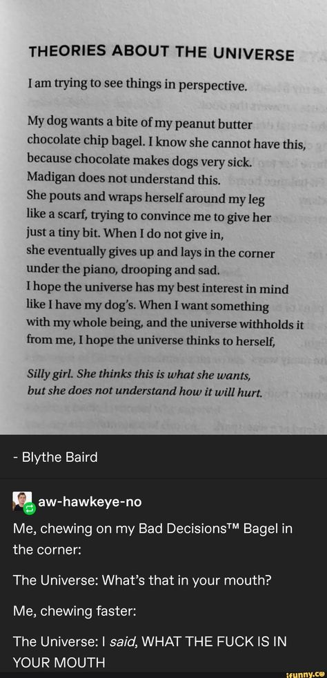 Chocolate Chip Bagel, Blythe Baird, Theories About The Universe, Izu, New Energy, The Piano, Life Advice, Tumblr Funny, Pretty Words