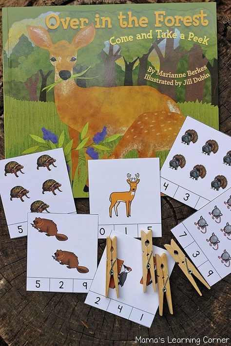 Over in the Forest Themed Clip Cards Forest Animals Preschool, Forest Preschool, Diarama Ideas, Forest Animals Theme, Counting Clip Cards, Activity For Preschoolers, Forest Habitat, Spring Preschool, Math Activity