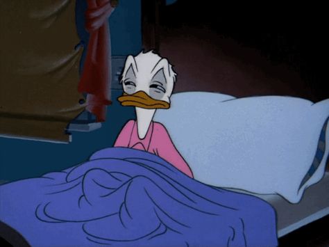 19 Facts Everyone Who Is Always Tired Will Understand Dormir Gif, Sleeping Gif, Kalle Anka, Disney Gif, Hapkido, Cartoon Gifs, Morning Humor, Vintage Cartoon, A Cartoon