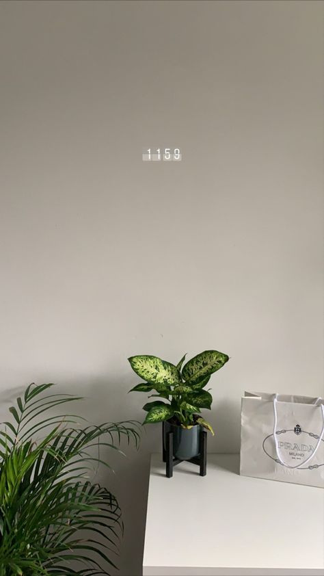 Desk Plants Aesthetic, Bedroom Desk Decor, Desk Plants, Bedroom Desk, Bedroom Plants, Plant Aesthetic, Minimalist Room, Dream Room Inspiration, Bedroom Green