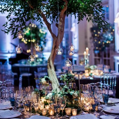 Autmumn weddings, incoming! This wedding table decor idea is so versity for fall and winter weddings, making it a true winner in our eyes. Wedding decor inspo is what we love at Hitched, so check out this article for more unique wedding ideas! A wedding breakfast table with a tree centrepiece and winter baubles hanging from it with candles inside Tree Centrepiece, Wedding Baubles, Enchanted Wedding Theme, Winter Themed Wedding, Winter Wonderland Wedding Theme, Themed Wedding Ideas, Winter Wedding Ideas, Wedding Theme Inspiration, Wedding Themes Winter