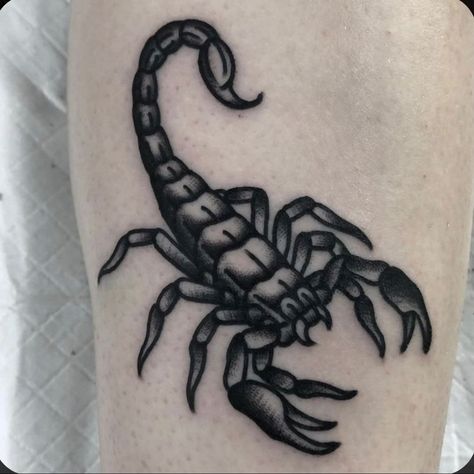 Tato Tradisional, Traditional Black Tattoo, Bauch Tattoos, Traditional Style Tattoo, Scorpio Tattoo, Traditional Tattoo Sleeve, Scorpion Tattoo, Style Tattoo, Tattoo Cover