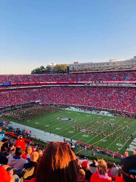 University Of Georgia Aesthetic, Uga Aesthetic, Georgia University, Campus Aesthetic, Submit Button, College Gameday Outfits, Uga Football, Gameday Outfits, Vision 2024