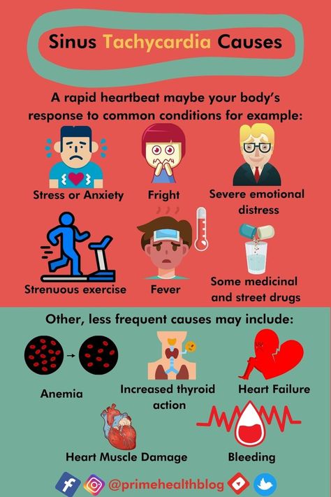 Remedy For Sinus Congestion, Clear Your Sinuses, Fast Heart Rate, Home Remedies For Sinus, Sinus Congestion Relief, Fast Heartbeat, Constant Headaches, Nurse Study Notes, Summer Health