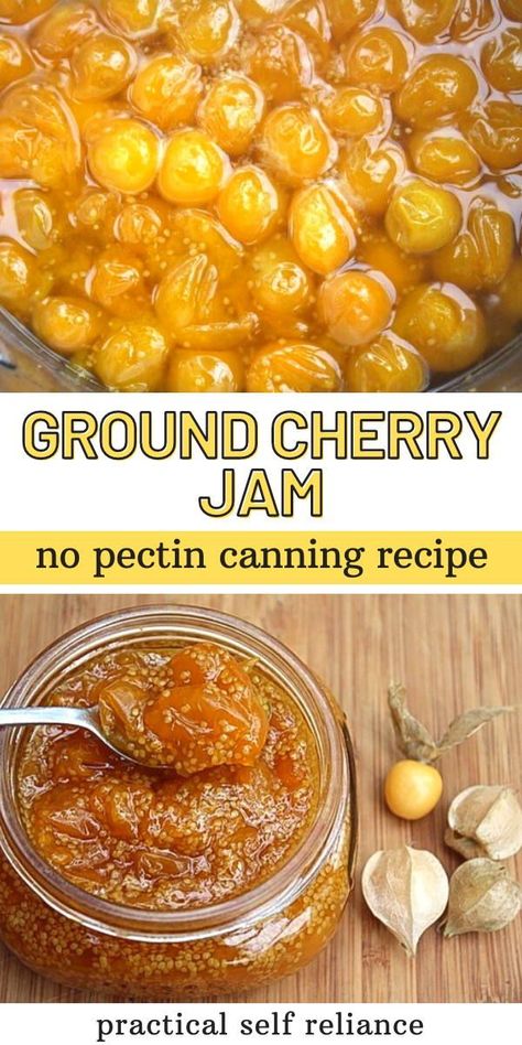 Ground Cherry Jam for Canning: No Pectin Jam Recipes - Looking for ground cherry recipes? You'll love this easy homemade ground cherry jam made with only 3 ingredients. No pectin required! ground cherry recipes | ground cherry jam no pectin Jam For Canning, Ground Cherry Recipes, Cherry Freezer Jam, Cherry Jelly Recipes, Selling Baked Goods, Canning Fruit Recipes, Preserving Fruit, Ground Cherries, Gooseberry Recipes