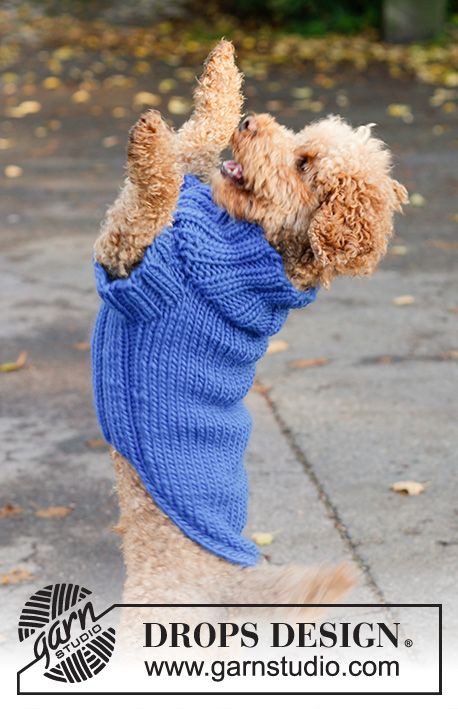 Dog Knit Sweater Pattern Free, Knitting Dog Sweaters Pattern Free, Knitting Pattern For Dog Sweater, Dog Jumper Knitting Pattern Free Easy, Pet Clothes Patterns Free Printable, Knitting For Dogs Free Pattern, Free Dog Knitting Patterns, Knitting Pattern Dog Sweater, Knit Dog Sweater Pattern Free Easy