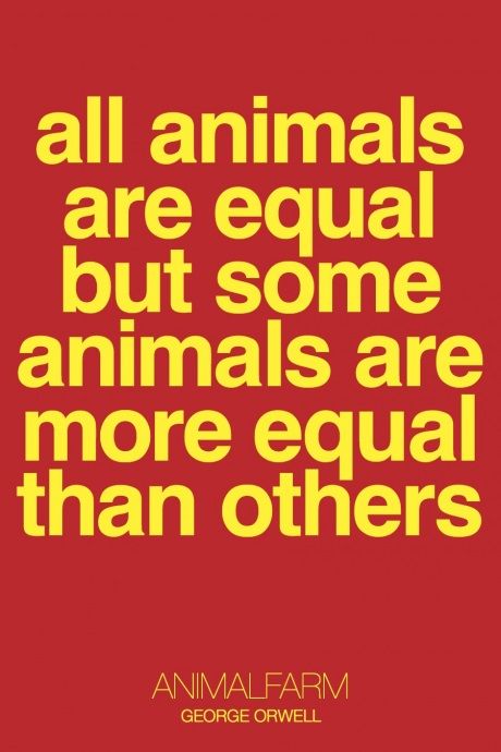 Animal Farm by George Orwell - a cautionary tale Animal Farm Book, Animal Farm George Orwell, All Animals Are Equal, Grand Library, Teacher Survival, Literature Teacher, British Literature, Quote Unquote, Middle English