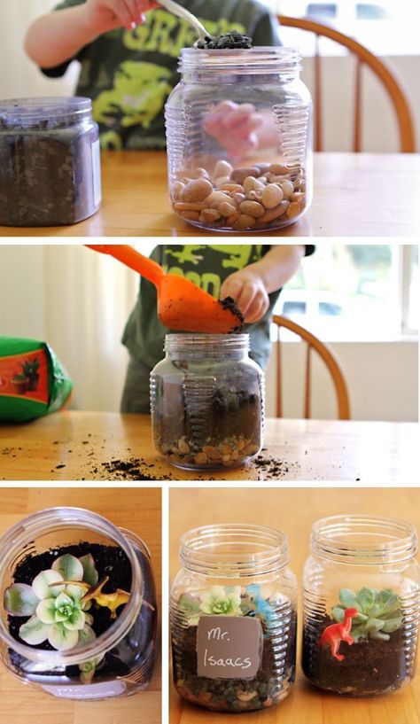 Making terrariums with kids - change up what you add to this fun garden according to the occasion - Christmas gift, Earth Day, Teacher Appreciation Day, Mother's Day, Father's Day, etc. #DIYterrarium #terrarium #teacherappreciationideas #teacherappreciation #springprojects #plantingprojects Fun Gardens, Making Terrariums, Earth Day Projects, Messy Kids, Terrarium Diy, Crafty Kids, Land Art, Business For Kids, Earth Day