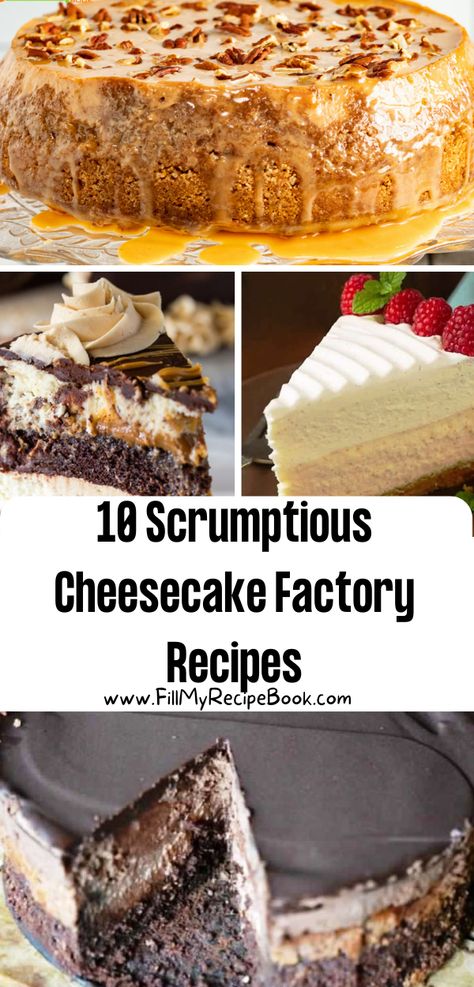 10 Scrumptious Cheesecake Factory Recipes - Fill My Recipe Book Copycat Restaurant Recipes Cheesecake Factory Cheese Cakes, Best Restaurant Desserts, Reese’s Cheesecake Recipes, Easy Cheesecakes To Make, Cheesecake Recipes Cheesecake Factory, Cheesecake Recipes With Chocolate, Cheesecake Factory Recipes Desserts, The Cheesecake Factory Recipes, Cheesecake Factory Chocolate Cheesecake