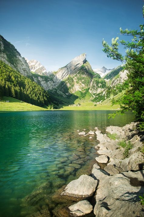 Switzerland Nature, Places In Switzerland, Summer Morning, Gods Creation, Mountain Paintings, Beautiful Scenery Nature, Alam Yang Indah, Pretty Places, Landscape Photographers