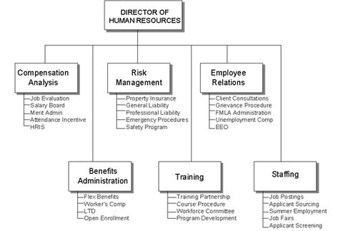 Human Resources Organizational Chart Hr Department Structure, Hr Organizational Chart, People Operations, Project Management Infographic, Human Resources Quotes, Human Resources Career, Human Resources Office, Hr Department, Organizational Design