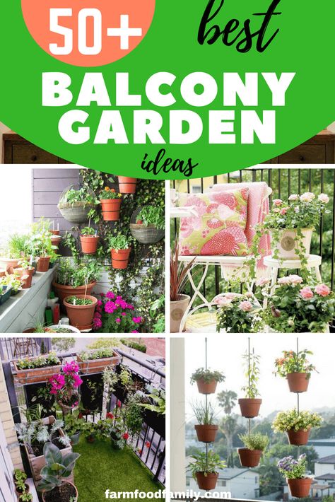 50 Amazing Balcony Garden Designs & Ideas - FarmFoodFamily Balcony Flower Box, Balcony Garden Ideas, Apartment Balcony Garden, Balcony Plants, Paper Plants, Garden Balcony, Small Outdoor Spaces, Apartment Balcony Decorating, Creative Gardening