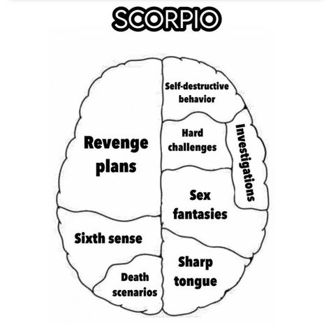 Zodiac Mind Scorpio, Scorpio Funny, Truth Questions, Zodiac Quotes Scorpio, Astrology Scorpio, Scorpio Traits, Astrology Reading, Zodiac Signs Chart, Scorpio Love