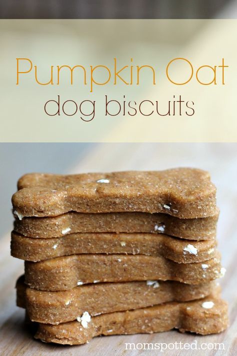 Oat Biscuits, Homemade Dog Cookies, Homemade Pet Treats, Pumpkin Oats, Easy Dog Treat Recipes, Dog Biscuit Recipes, Easy Dog Treats, Healthy Dog Treats Homemade, Dog Treats Homemade Recipes