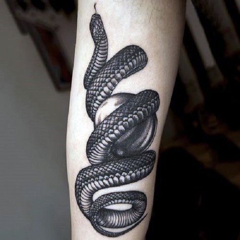 Black Snake Tattoo, Snake Tattoo Meaning, Apple Tattoo, Cobra Tattoo, Zeus Tattoo, Tattoo Snake, Snake Tattoo Design, Cool Arm Tattoos, Muster Tattoos